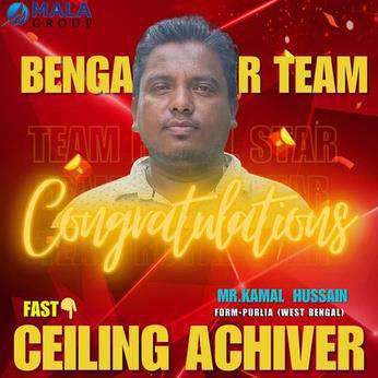 Ceiling Achiever 3